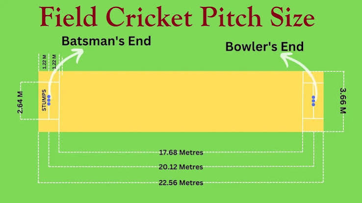 Box Cricket Court Dimensions in India